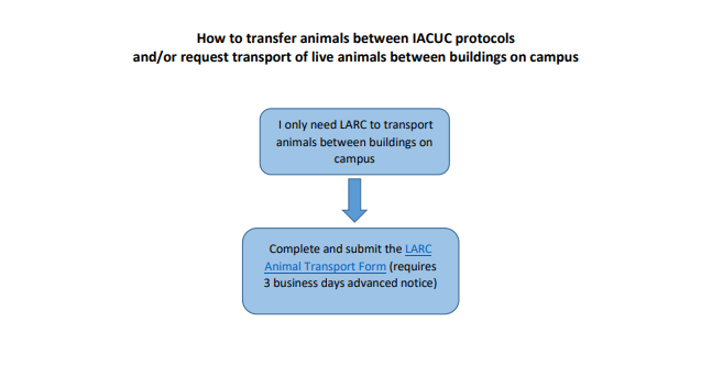 Animal Transfer Flowchart Cont.